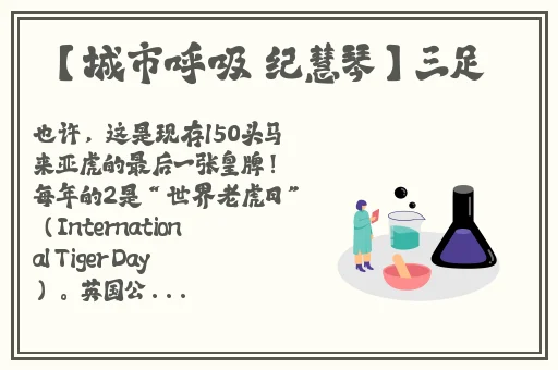 黑土腿法娴熟脚法精湛斗